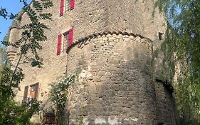 Le Château de Sorgues